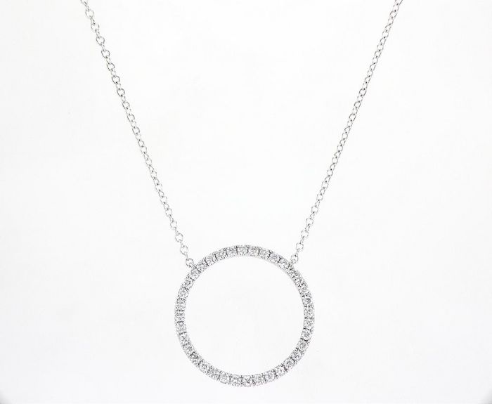 שרשרת מעגל החיים