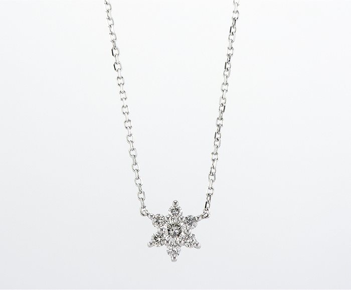 שרשרת כוכב\פרח